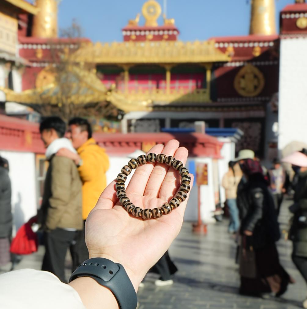 Black Gold Tiger Tooth Agate Dzi Bead Bracelet